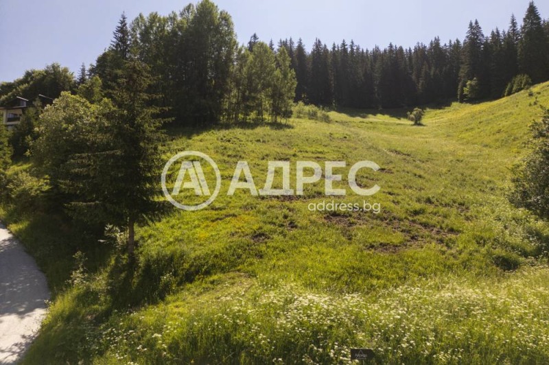 На продаж  Сюжет область Смолян , Проглед , 1325 кв.м | 57900348 - зображення [5]