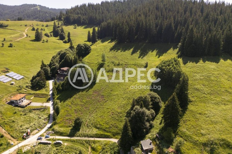 На продаж  Сюжет область Смолян , Проглед , 1325 кв.м | 57900348 - зображення [6]