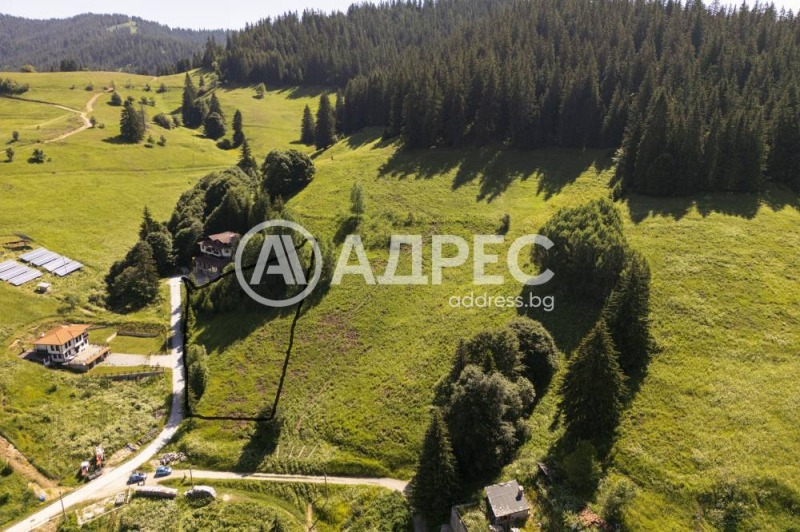 На продаж  Сюжет область Смолян , Проглед , 1325 кв.м | 57900348 - зображення [7]