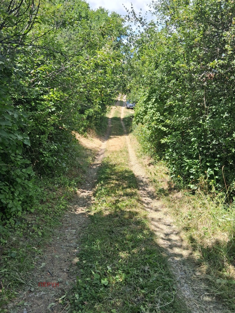 Zu verkaufen  Handlung region Pernik , Kondofrej , 1361 qm | 77894770 - Bild [2]