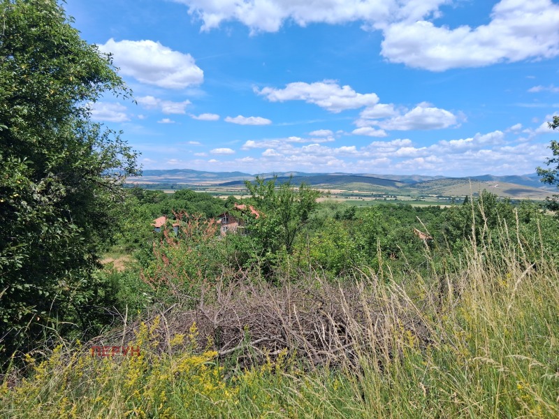 Zu verkaufen  Handlung region Pernik , Kondofrej , 1361 qm | 77894770 - Bild [4]