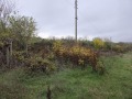 Продава ПАРЦЕЛ, с. Горски горен Тръмбеш, област Велико Търново, снимка 6