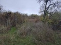 Продава ПАРЦЕЛ, с. Горски горен Тръмбеш, област Велико Търново, снимка 4