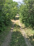 Продава ПАРЦЕЛ, с. Кондофрей, област Перник, снимка 2