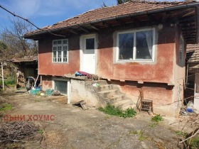 Hus Daskot, region Veliko Tarnovo 1