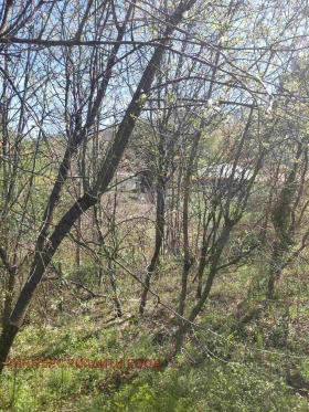 ������ ������� ������