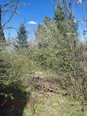 ������� ������ | Imot.bg � ����� ������ 2