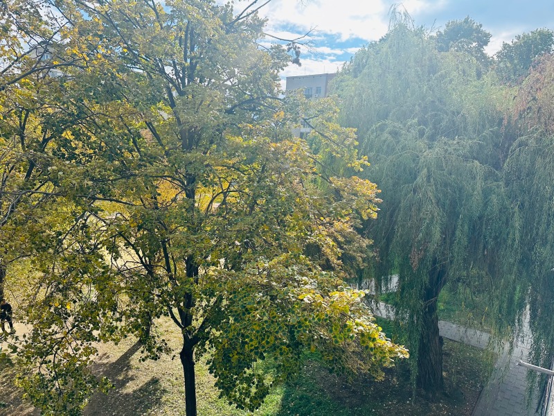 Продава  3-стаен град Пазарджик , Младост , 97 кв.м | 97892308 - изображение [16]