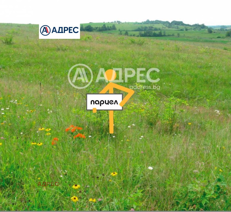 Продава ПАРЦЕЛ, гр. Варна, с. Звездица, снимка 6 - Парцели - 47556149