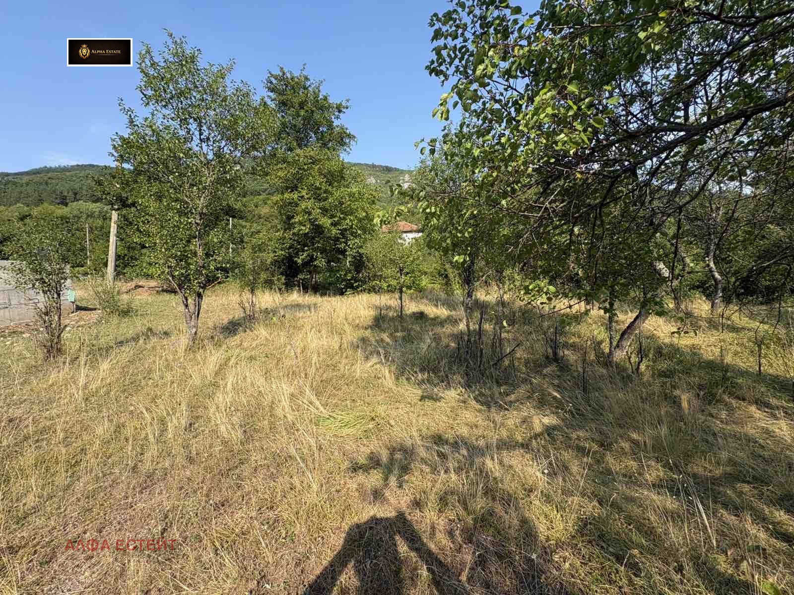 Продава ПАРЦЕЛ, с. Згориград, област Враца, снимка 2 - Парцели - 55712372
