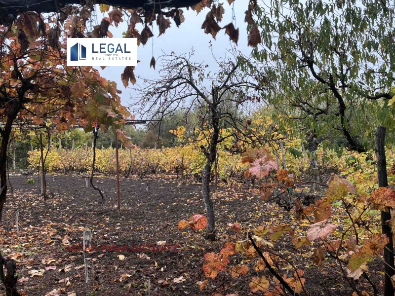 Продава КЪЩА, с. Ракита, област Плевен, снимка 13 - Къщи - 52411040