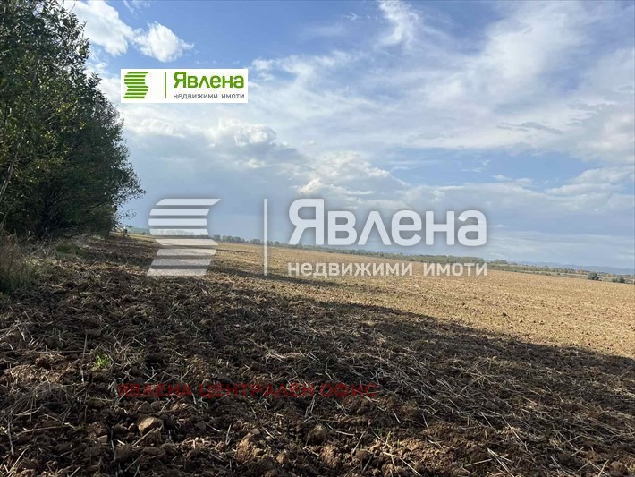 Продава ПАРЦЕЛ, с. Мусачево, област София област, снимка 4 - Парцели - 48020444