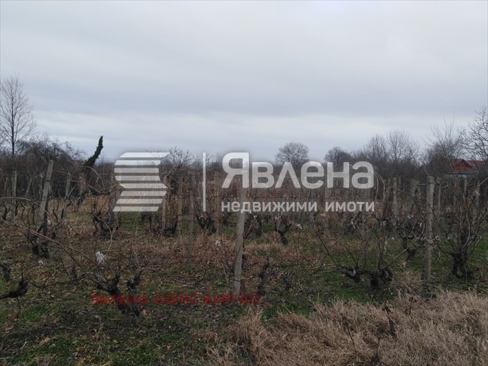 Til salg  Grund region Burgas , Tsarevo , 971 kvm | 50152873 - billede [2]