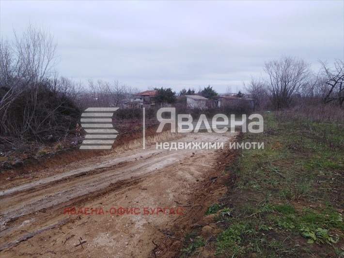 Til salg  Grund region Burgas , Tsarevo , 971 kvm | 50152873 - billede [5]