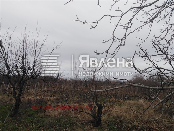 Til salg  Grund region Burgas , Tsarevo , 971 kvm | 50152873 - billede [7]