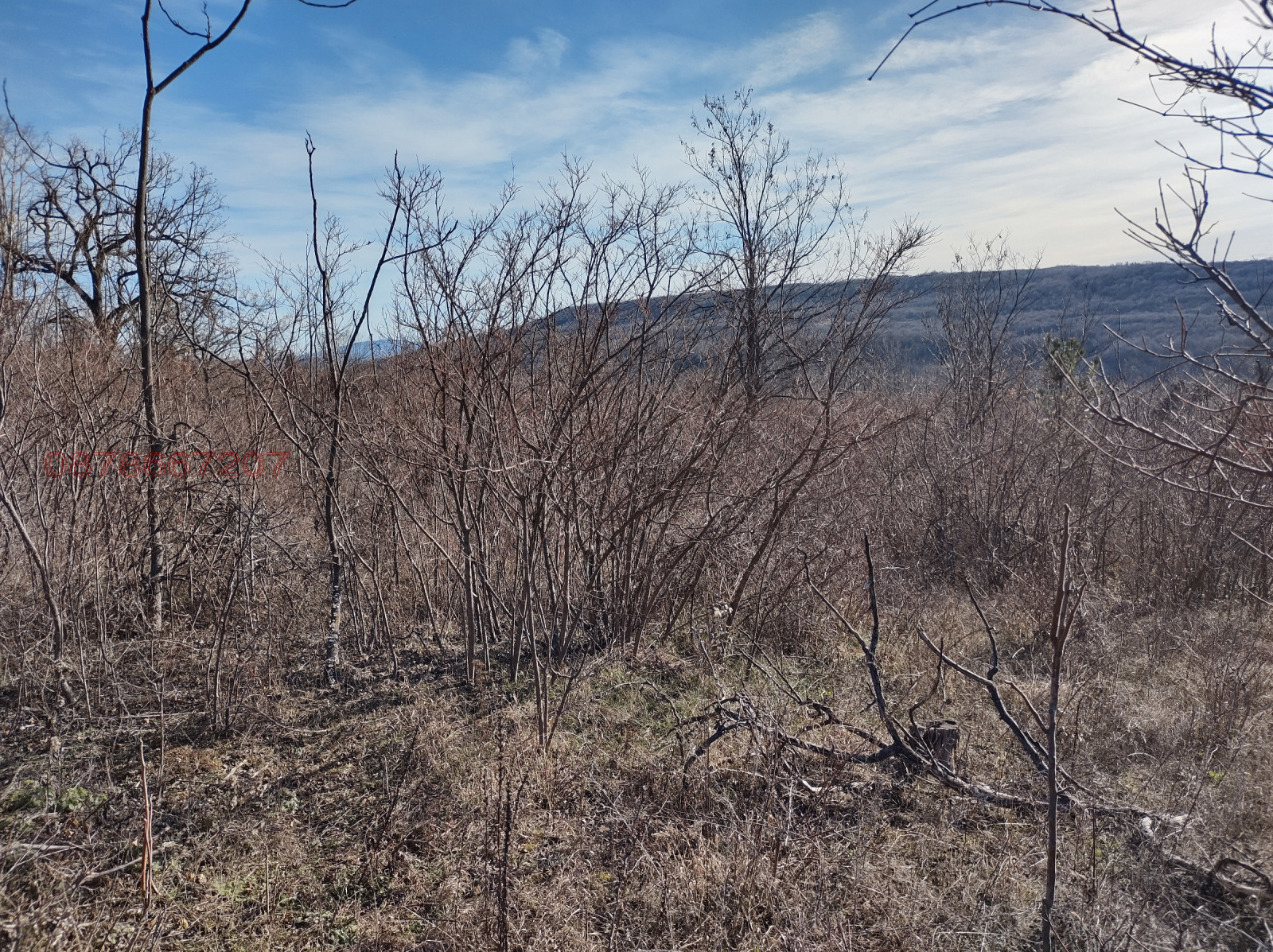 ������� ���������� ���� | Imot.bg � ����������� 6