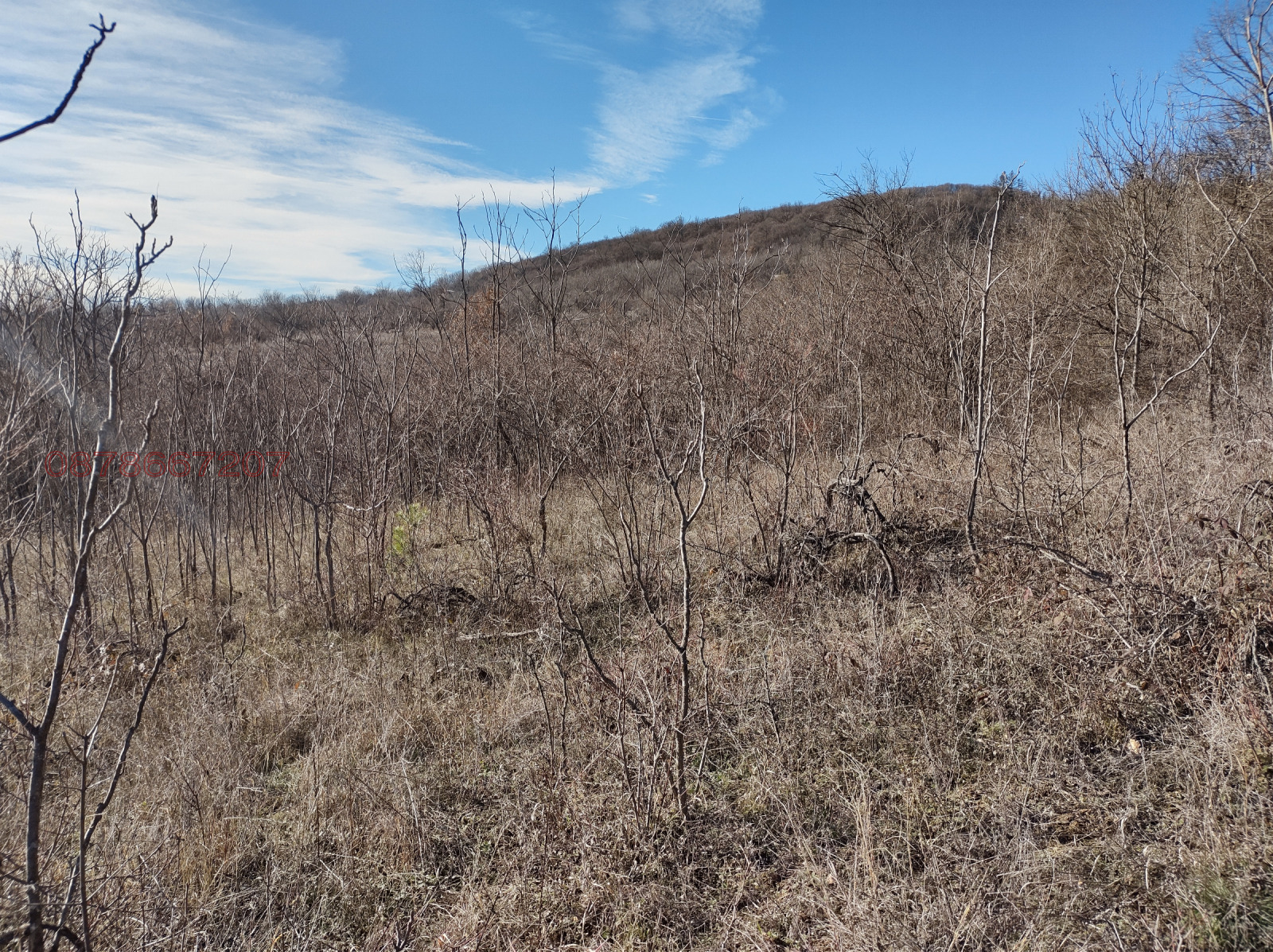 ������� ���������� ���� | Imot.bg � ����������� 1