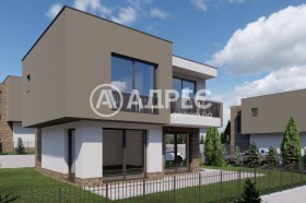 ������ ������� ����