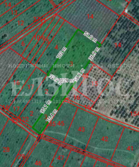 ����� ������� ���������� ����,�. ��������, ������ ���������