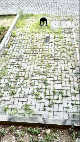  2- | Imot.bg    7