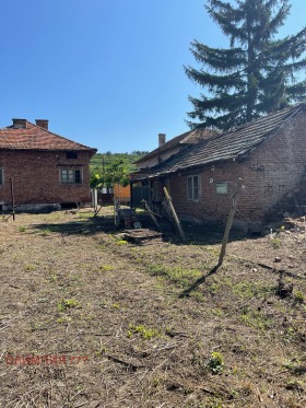 Hus Riben, region Pleven 5