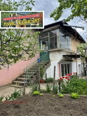 ������ ������� ����