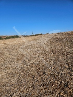 ����� ������� ������,�. ����� ����, ������ ������