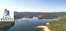 ����� ������� ������,��. �����, ������ ���������