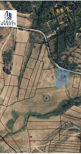 ����� ������� ������,��. �����, ������ ���������