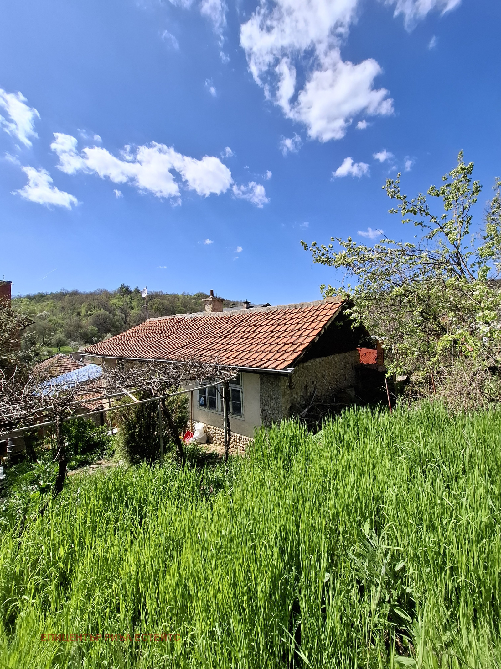 Продава КЪЩА, с. Борнарево, област Перник, снимка 2 - Къщи - 54381666