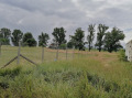 Продава ПАРЦЕЛ, град София, с. Чепинци • 205000 € • 77382549 — Holmes.bg