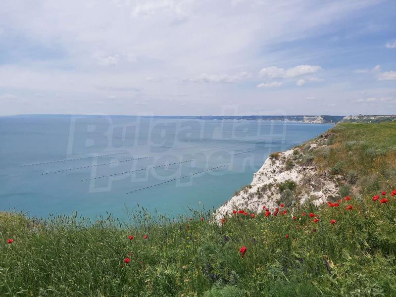 Продава ПАРЦЕЛ | Imot.bg — изображение 2