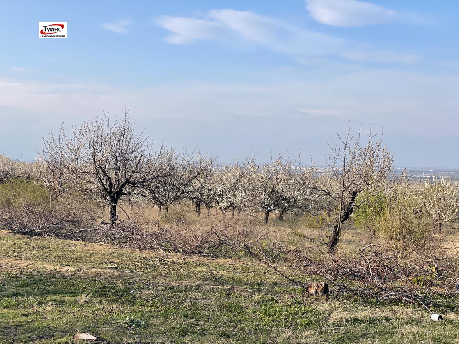 ������� ������ | Imot.bg � ����������� 3