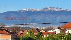 Plott Sjepintsi, Sofia 7