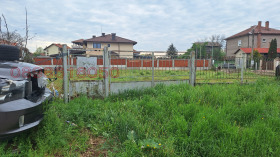 Plott Sjepintsi, Sofia 8