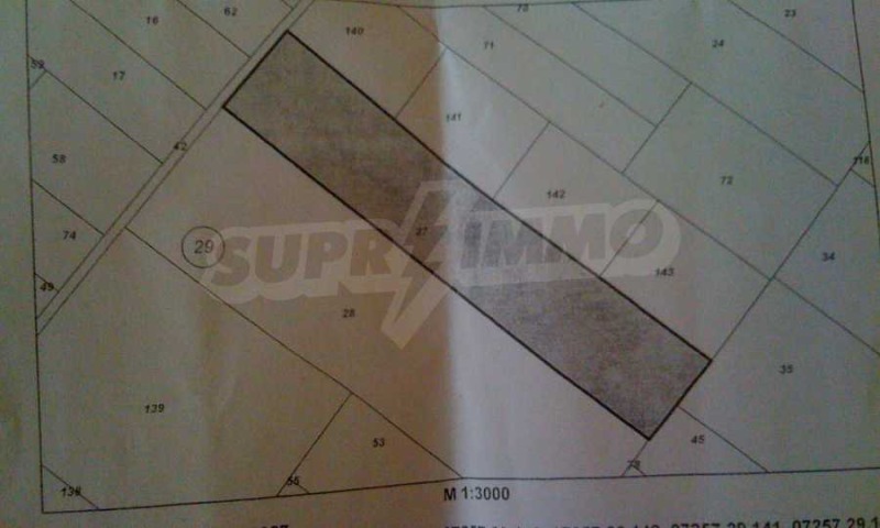 Продаја  Плот регион Добрицх , Балгарево , 20000 м2 | 72145332 - слика [6]
