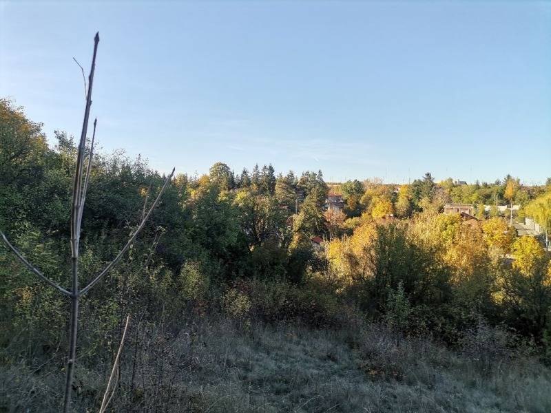 Продава ПАРЦЕЛ, гр. София, гр. Банкя, снимка 13 - Парцели - 52598214