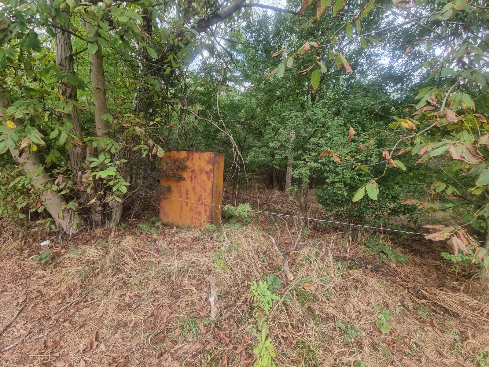 Продава ПАРЦЕЛ, гр. Дебелец, област Велико Търново, снимка 2 - Парцели - 52602825