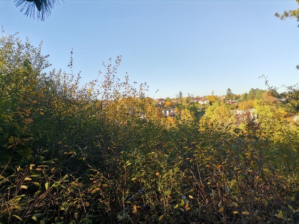 Продава ПАРЦЕЛ, гр. София, гр. Банкя, снимка 11 - Парцели - 53751819