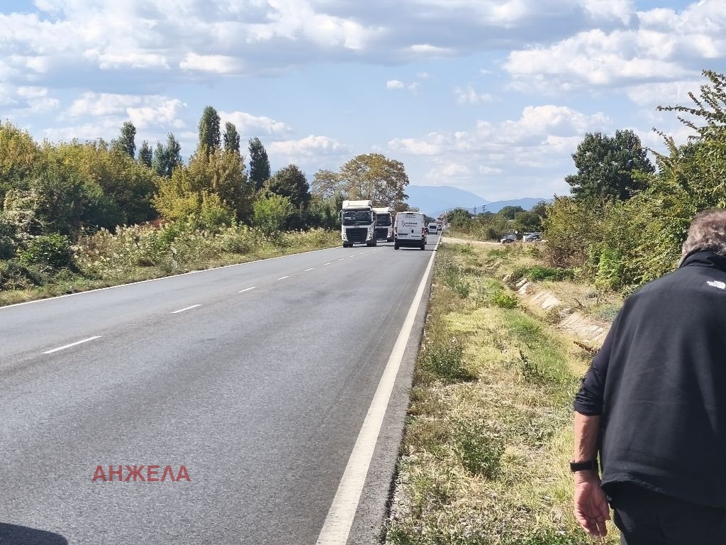 Продава  Земеделска земя област Пазарджик , с. Звъничево , 3300 дка | 81617087