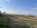 Продава ПАРЦЕЛ, с. Брестник, област Пловдив, снимка 2