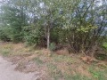 Продава ПАРЦЕЛ, гр. Дебелец, област Велико Търново, снимка 3