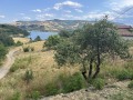 Продава ПАРЦЕЛ, област Кърджали, с. Гняздово • по договаряне • 29982735 — Holmes.bg