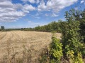 Продава  Земеделска земя област Пазарджик , с. Звъничево , 3300 дка | 81617087 - изображение [4]