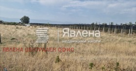 ����� ������� ������,�. ����, ������ �������