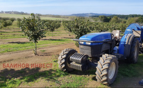 Land Benkovski, region Varna 1