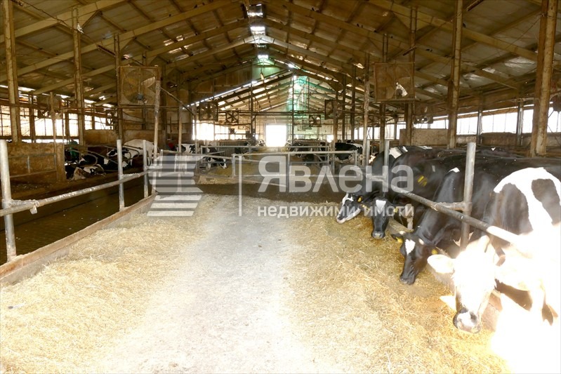 Till salu  Industribyggnad region Vratsa , Gorna Kremena , 11950 kvm | 50927705 - bild [10]