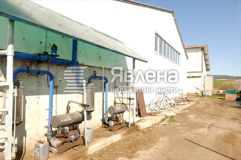 Till salu  Industribyggnad region Vratsa , Gorna Kremena , 11950 kvm | 50927705 - bild [14]