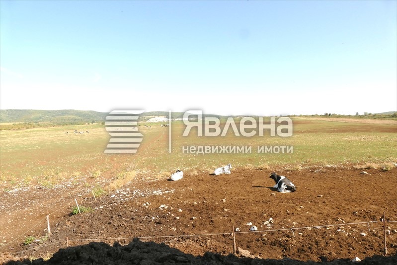 Till salu  Industribyggnad region Vratsa , Gorna Kremena , 11950 kvm | 50927705 - bild [11]