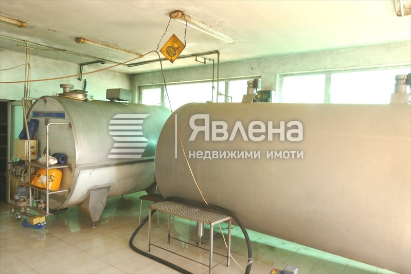 Till salu  Industribyggnad region Vratsa , Gorna Kremena , 11950 kvm | 50927705 - bild [12]